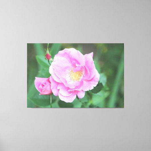 Extra große rosa Leinwand (Vorderseite)