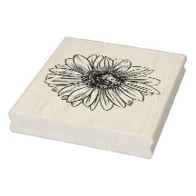 Extra große Sonnenblumenblüte Blütenblüte botanisc