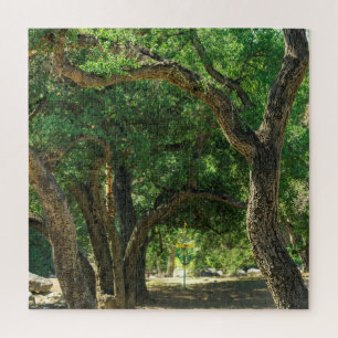 Extra schwierige Disc Golf Forest Puzzle