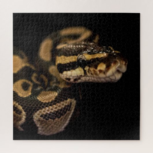 Extra schwierige Schlangenpuzzle Puzzle (Vertikal)