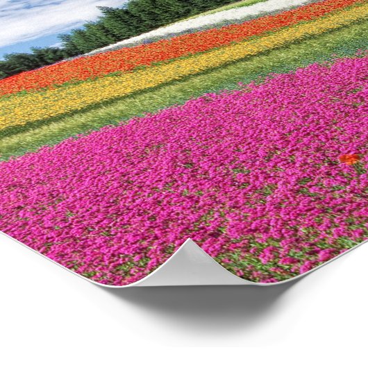 Extra Small (16,50" x 11,00"), Value Poster Paper (Ecke)