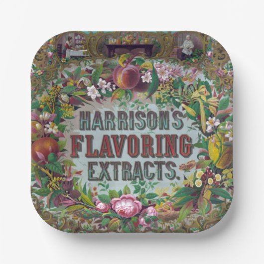 Extrakte aus viktorianischem Blumenobst Pappteller (Vorderseite)