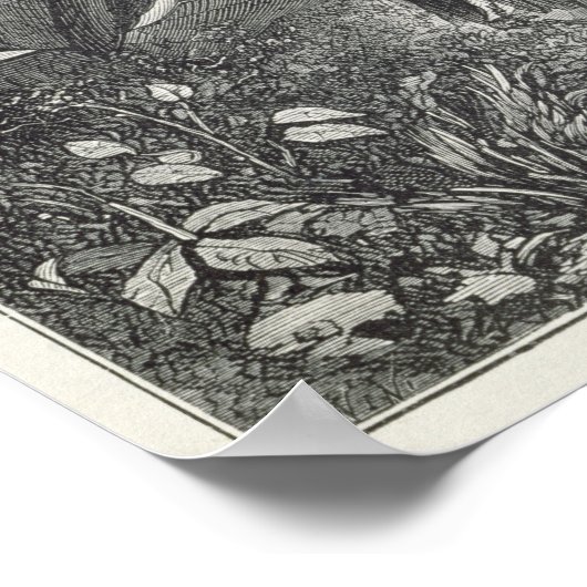 Extraktionsstoff Poster (Ecke)