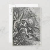 Extraktionsstoff Postkarte (Vorne/Hinten)