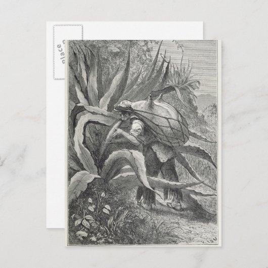 Extraktionsstoff Postkarte (Vorne/Hinten)