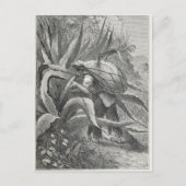 Extraktionsstoff Postkarte (Vorderseite)