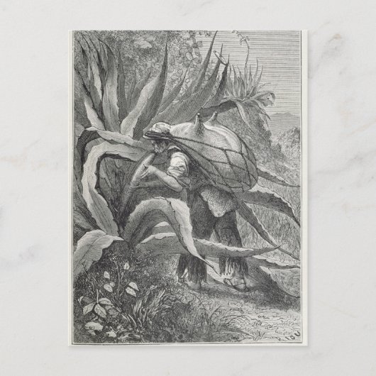 Extraktionsstoff Postkarte (Vorderseite)