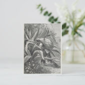 Extraktionsstoff Postkarte (Stehend Vorderseite)