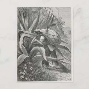 Extraktionsstoff Postkarte