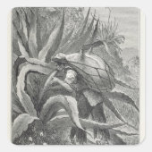 Extraktionsstoff Quadratischer Aufkleber (Vorderseite)