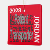 Extraordinär CUSTOM für Patiententransporter Keramikornament (Links)