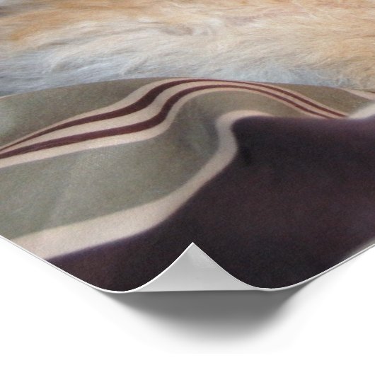 Extravagant Apricot Poodle Puppy..talk Poster (Ecke)