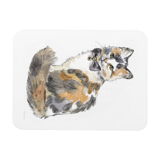 Extravagant Calico Cat Magnet (Horizontal)