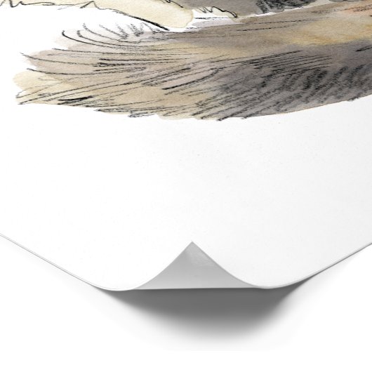 Extravagant Calico Cat Poster (Ecke)