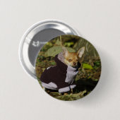 Extravagant Chihuahua Button (Vorne & Hinten)
