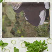 Extravagant Chihuahua Handtuch (Gefaltet)