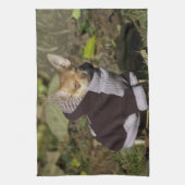 Extravagant Chihuahua Handtuch (Vertikal)
