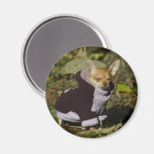 Extravagant Chihuahua Magnet (Vorderseite/Rückseite)