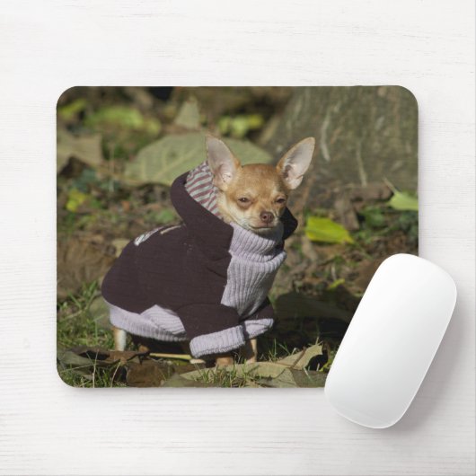 Extravagant Chihuahua Mousepad (Mit Mouse)