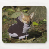 Extravagant Chihuahua Mousepad (Vorne)