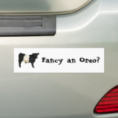 Extravagant ein Oreo? Galloway Cattle Beltie Steer Autoaufkleber (Auf Auto)