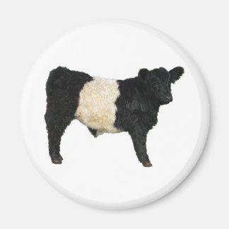 Extravagant ein Oreo? Galloway Cow Magnet