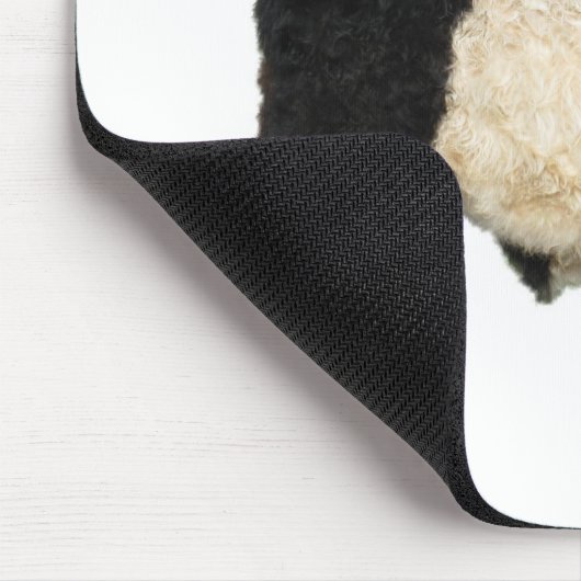 Extravagant ein Oreo? Umgeschnallte Galloway-Kuh Mousepad (Ecke)