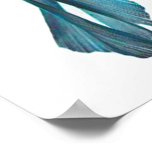 Extravagant Goldfish Poster (Ecke)