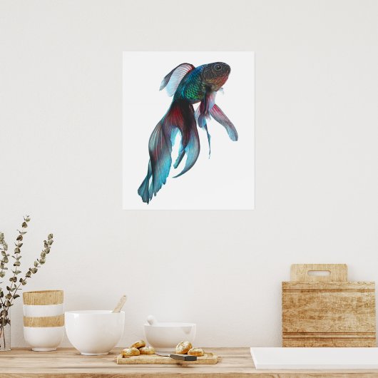 Extravagant Goldfish Poster (Küche)