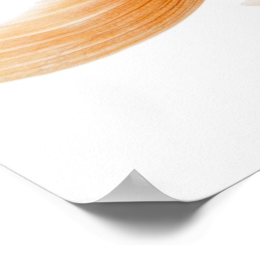 Extravagant Goldfish Poster (Ecke)