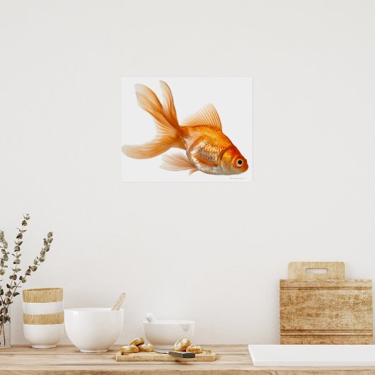 Extravagant Goldfish Poster (Küche)