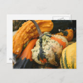 Extravagant Gourds Naturfotografie Postkarte (Vorne/Hinten)