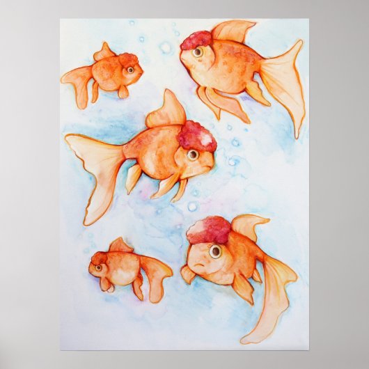 Extravagant Oranda Goldfish Poster (Vorne)