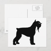 Extravagant Riant Schnauzer Postkarte (Vorne/Hinten)