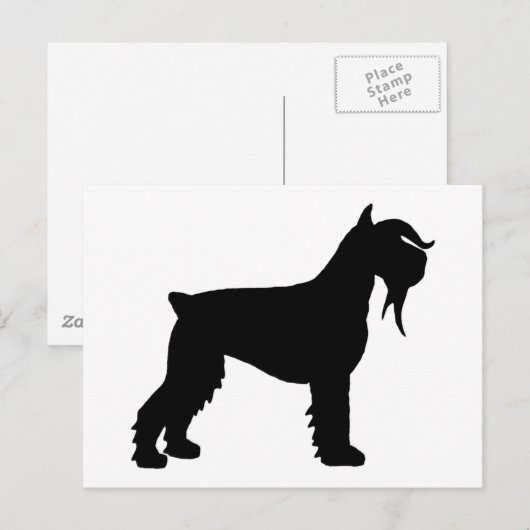 Extravagant Riant Schnauzer Postkarte (Vorne/Hinten)