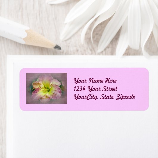 Extravagant rosa Taglilie Blossom (Insitu)