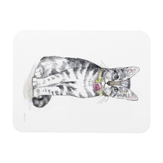 Extravagant Tabby Cat Magnet (Horizontal)