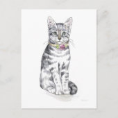 Extravagant Tabby Cat Postkarte (Vorderseite)