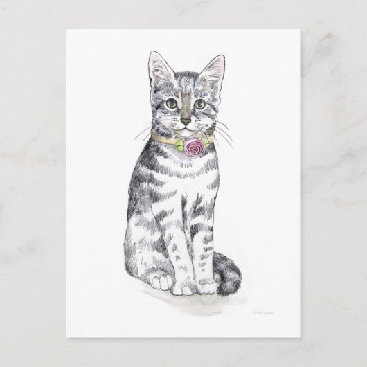 Extravagant Tabby Cat Postkarte (Vorderseite)