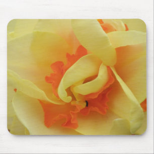 Extravagante Daffodil Mousepad