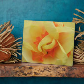 Extravagante Daffodil Plaque Fotoplatte (Seite)