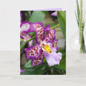 Extravagante Dame Orchid Karte (Vorderseite)