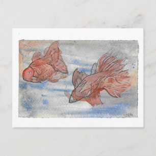 Extravagante Fische Postkarte