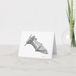 Extravagante Fledermäuse: Traglastkarte M. lucifug Karte