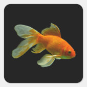 Extravagante Goldfish Stickers (Vorderseite)