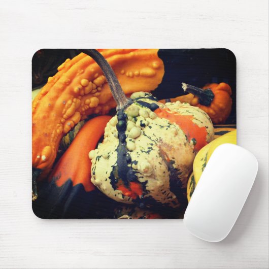 Extravagante Gourds-Natur Mousepad (Mit Mouse)