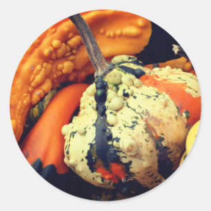 Extravagante Gourds-Natur Runder Aufkleber