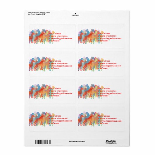 Extravagante Große Dänen (Vorne)