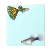 Extravagante Guppies Livebearer Fisch Notepad Notizblock (Vorderseite)