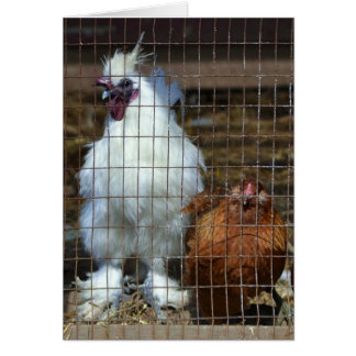 Extravagante Hühner